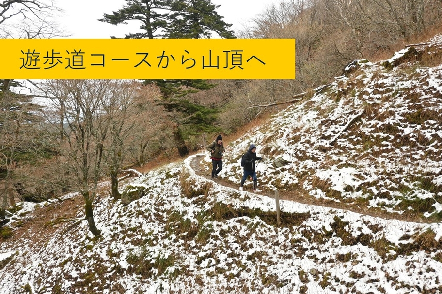 TAGTAG GUIDE剣山