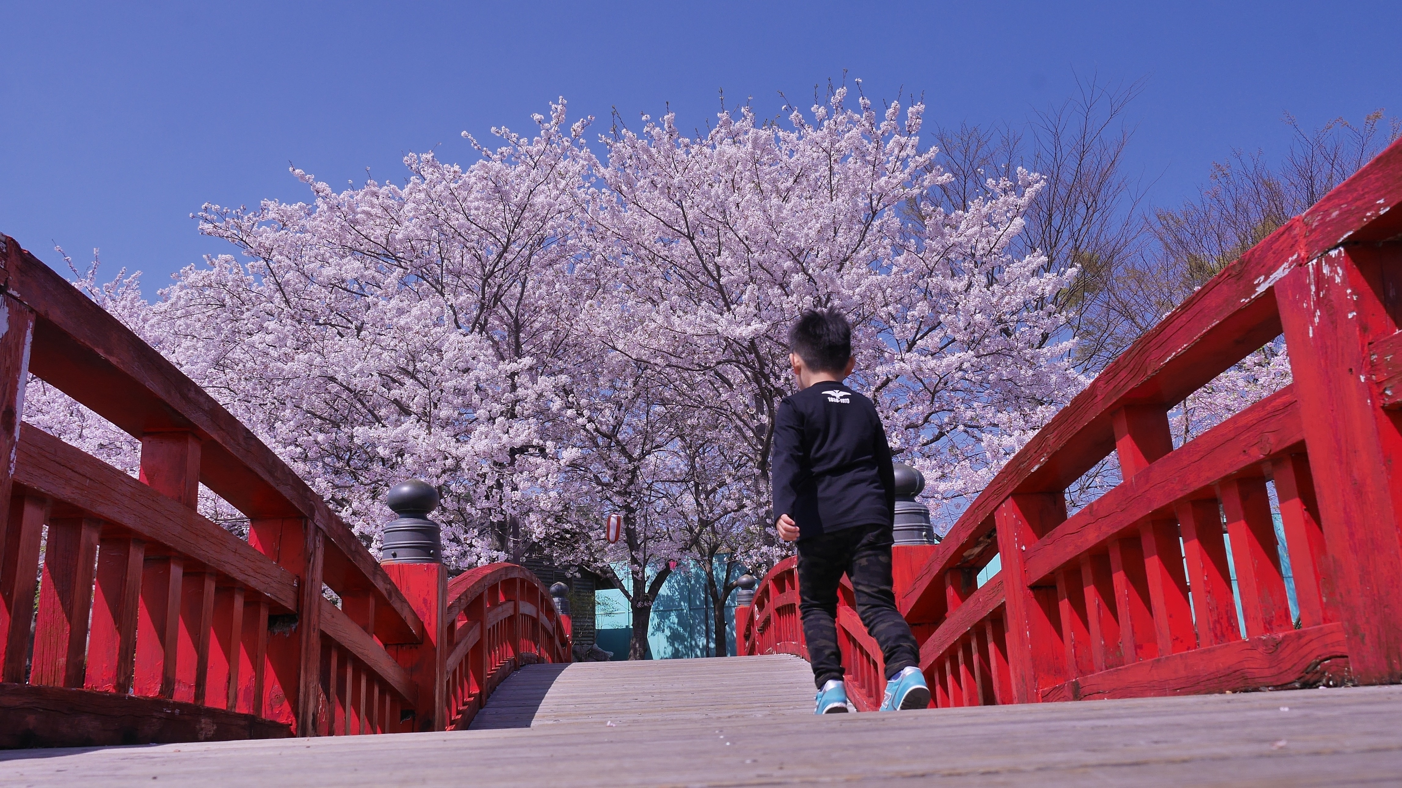 岩脇公園」 | 徳島トヨタ自動車株式会社