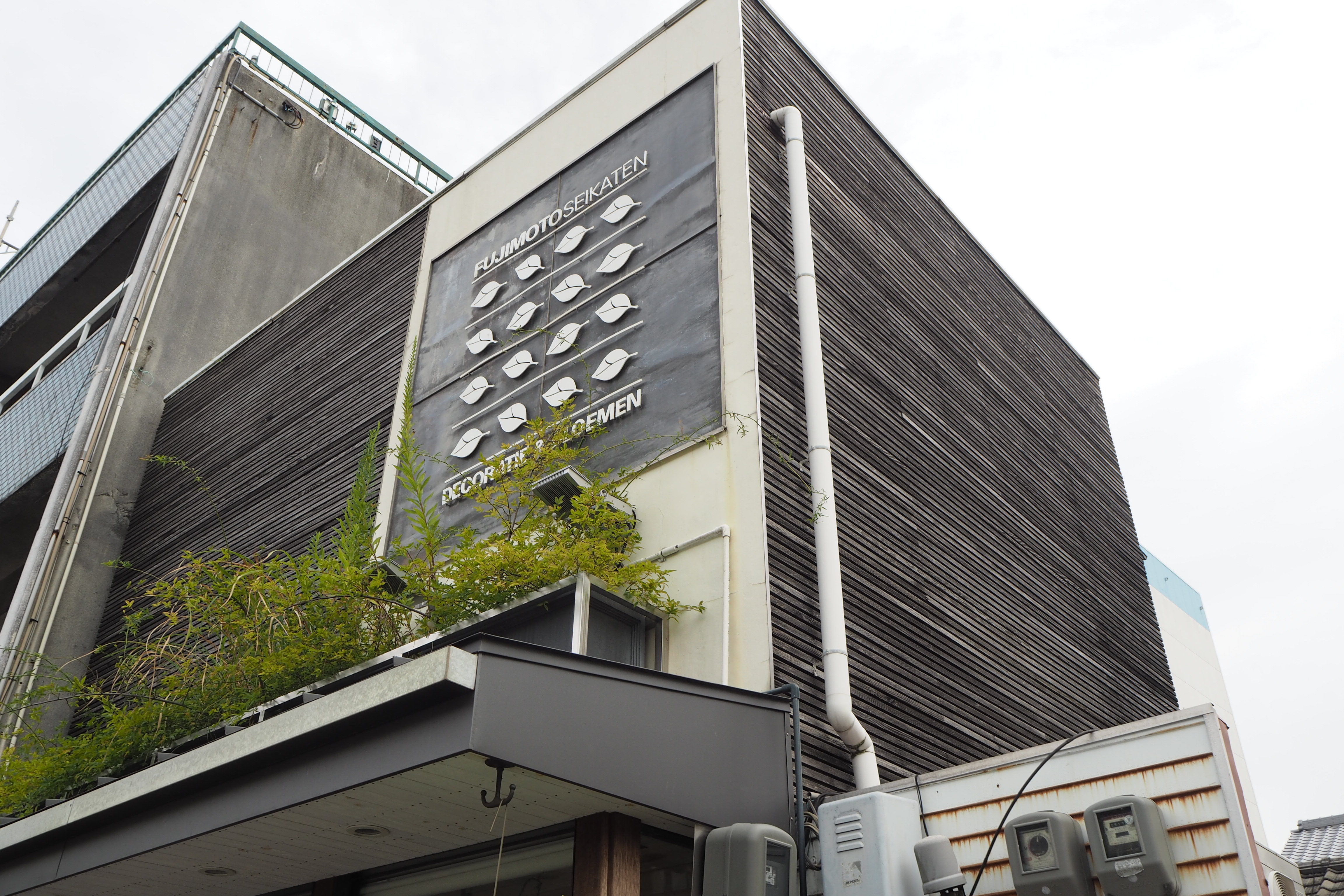 藤本生花店 | 徳島トヨタ自動車株式会社