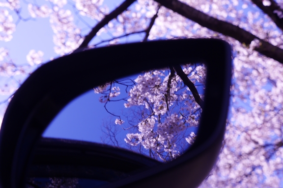 お出かけ　神山森林公園