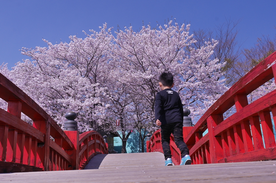 お出かけ　岩脇公園