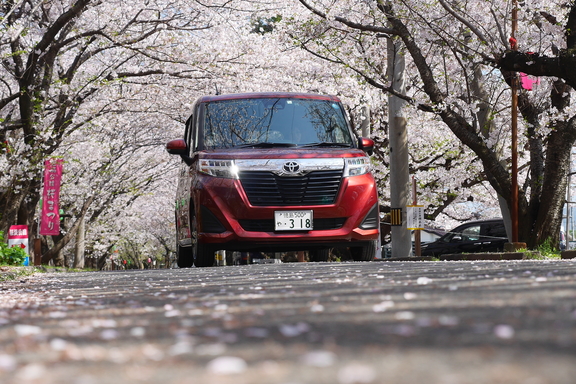 お出かけ　岩脇公園