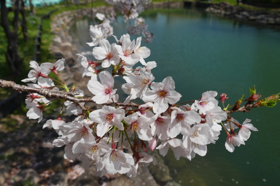 お出かけ　岩脇公園