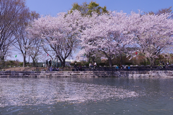 お出かけ　岩脇公園