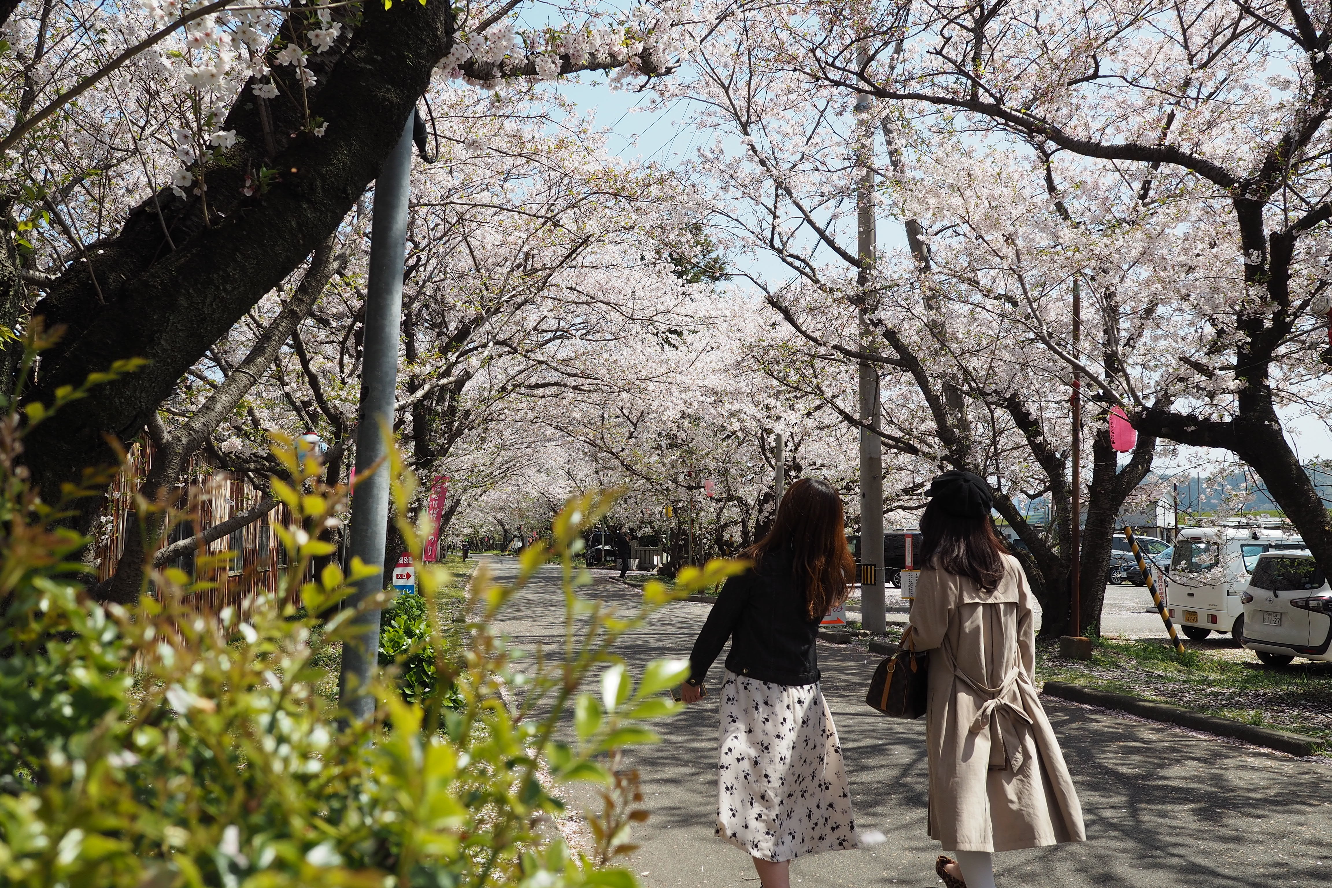 お出かけ　岩脇公園