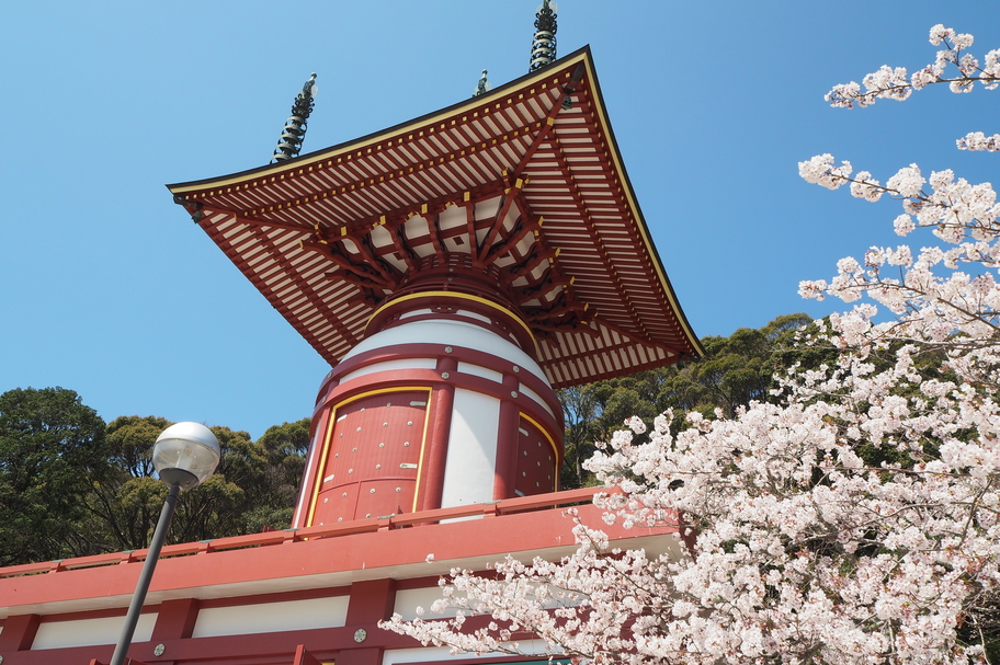 お出かけ　薬王寺