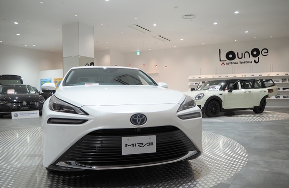 MIRAIさん、専用です！ image.jpg