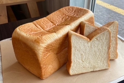 チンパンジーOK