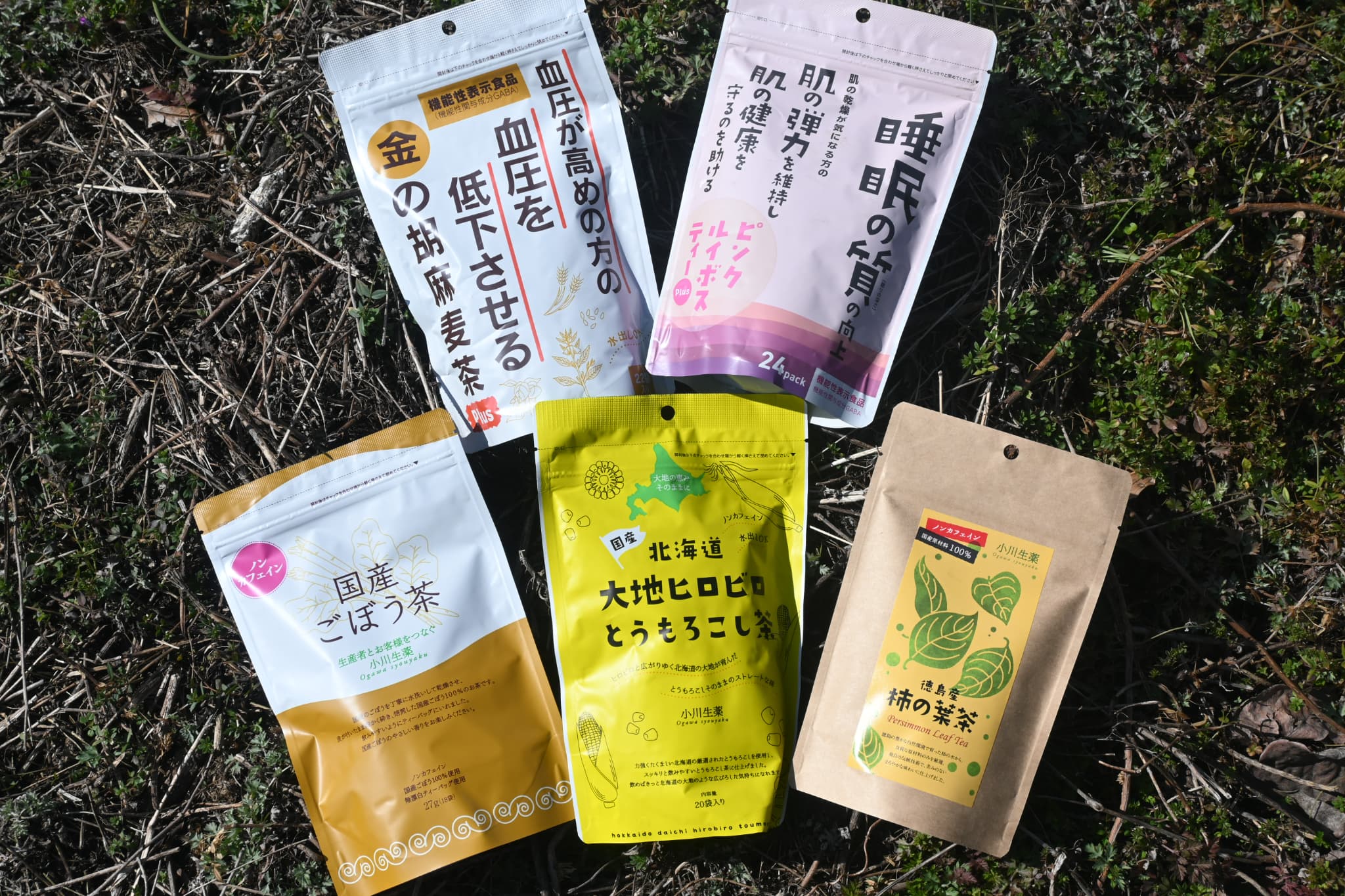 小川生薬