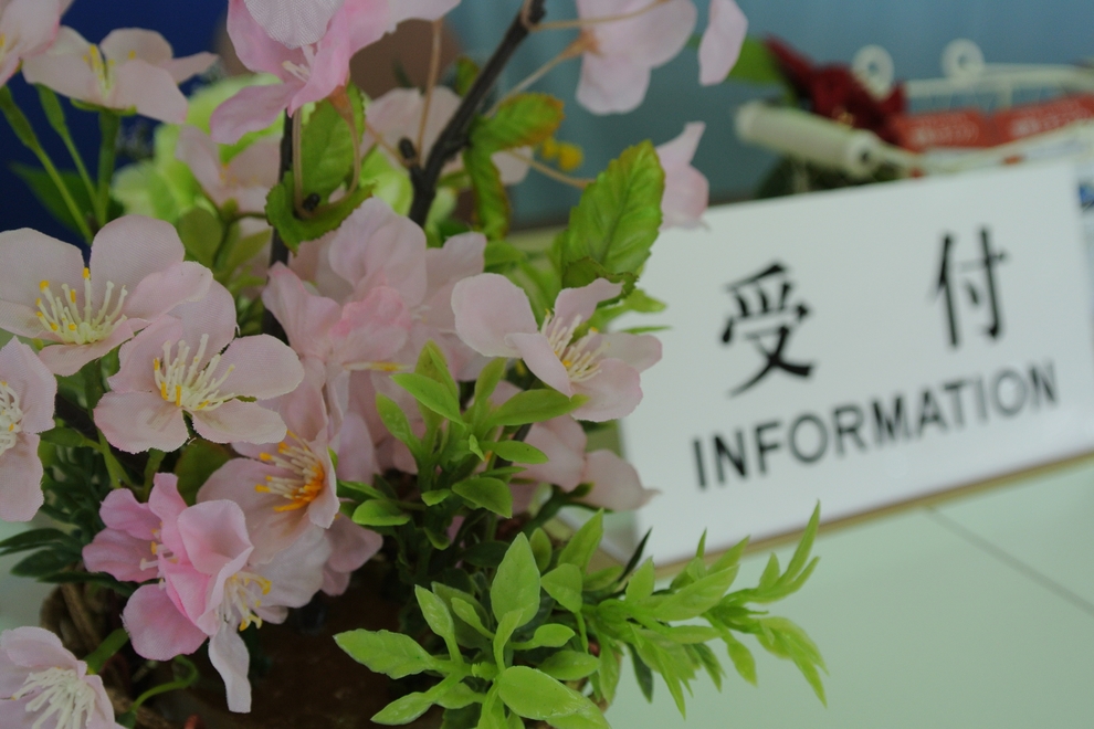 本店 春仕様