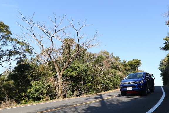 Surf In Peace ２ 徳島トヨタ自動車株式会社